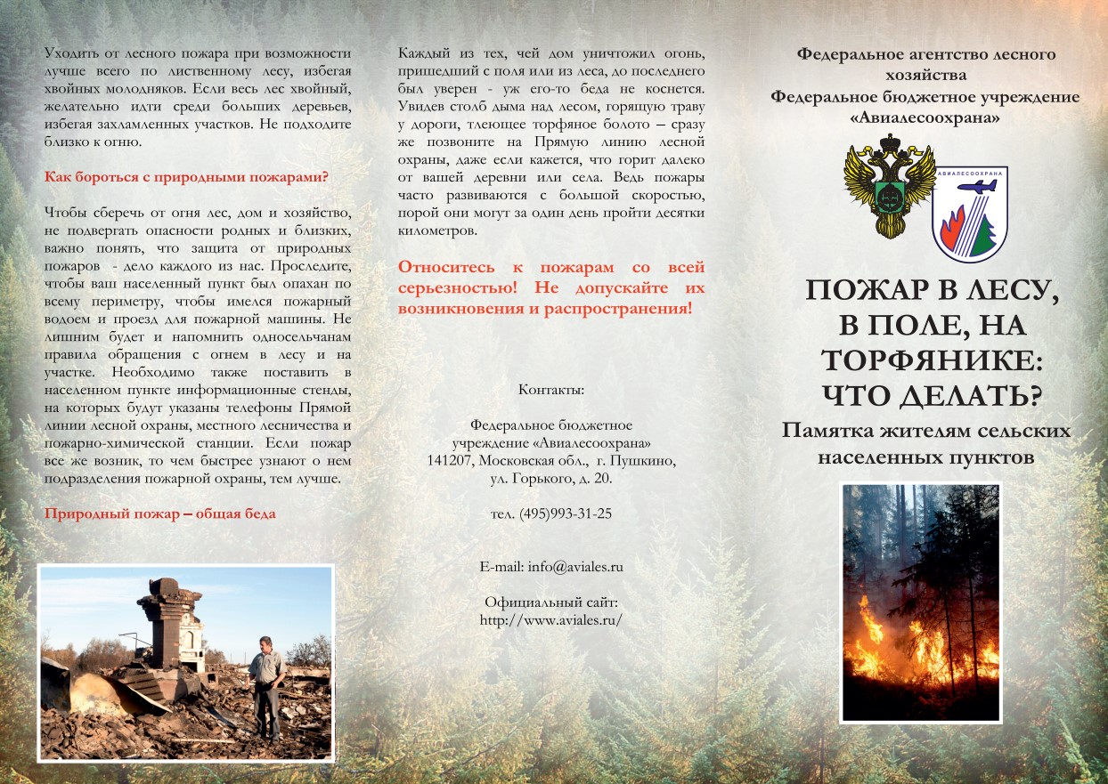 Открыть оригинальное изображение