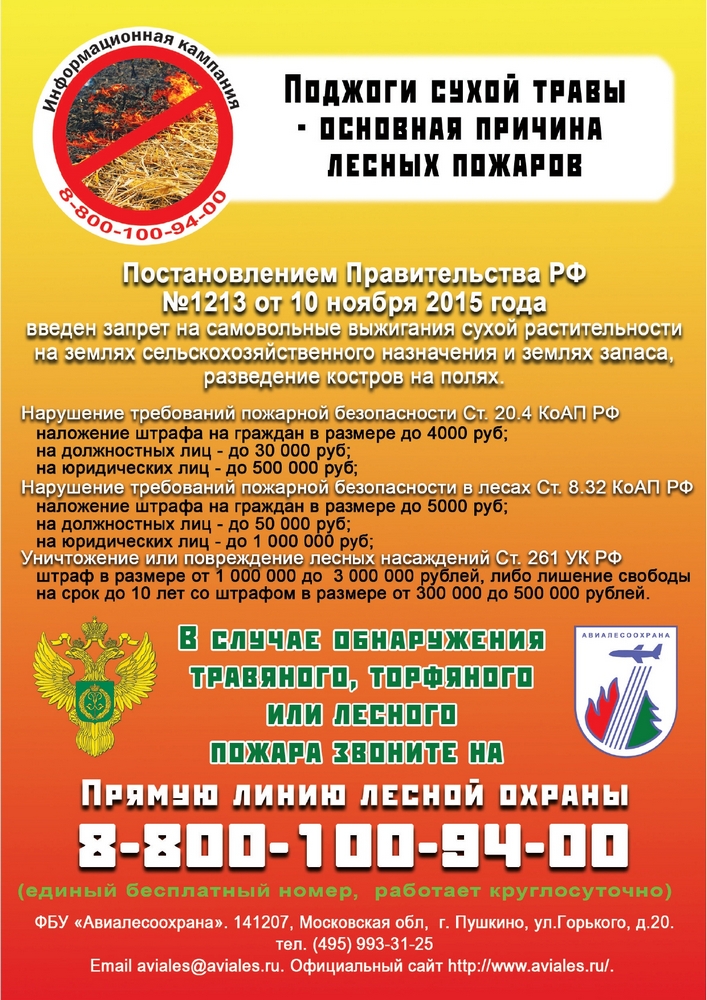 Открыть оригинальное изображение