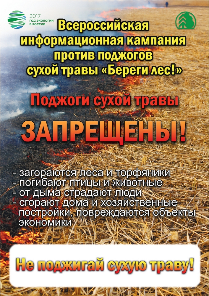 Открыть оригинальное изображение