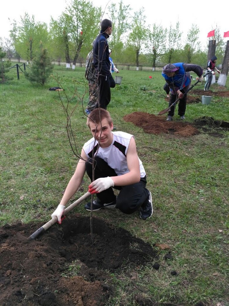 Открыть оригинальное изображение