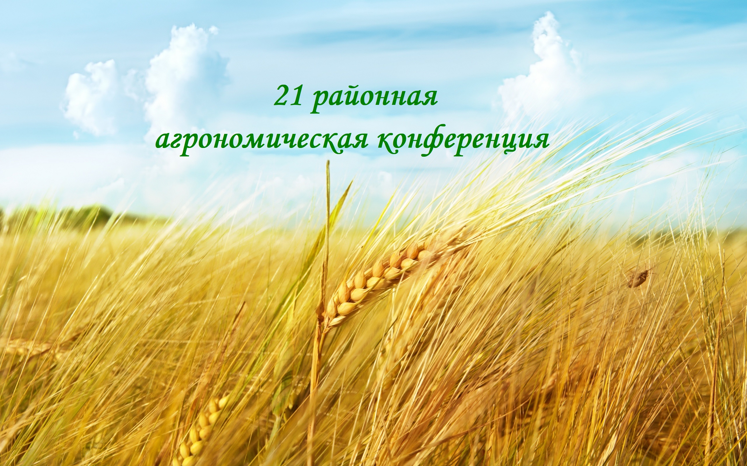 Открыть оригинальное изображение